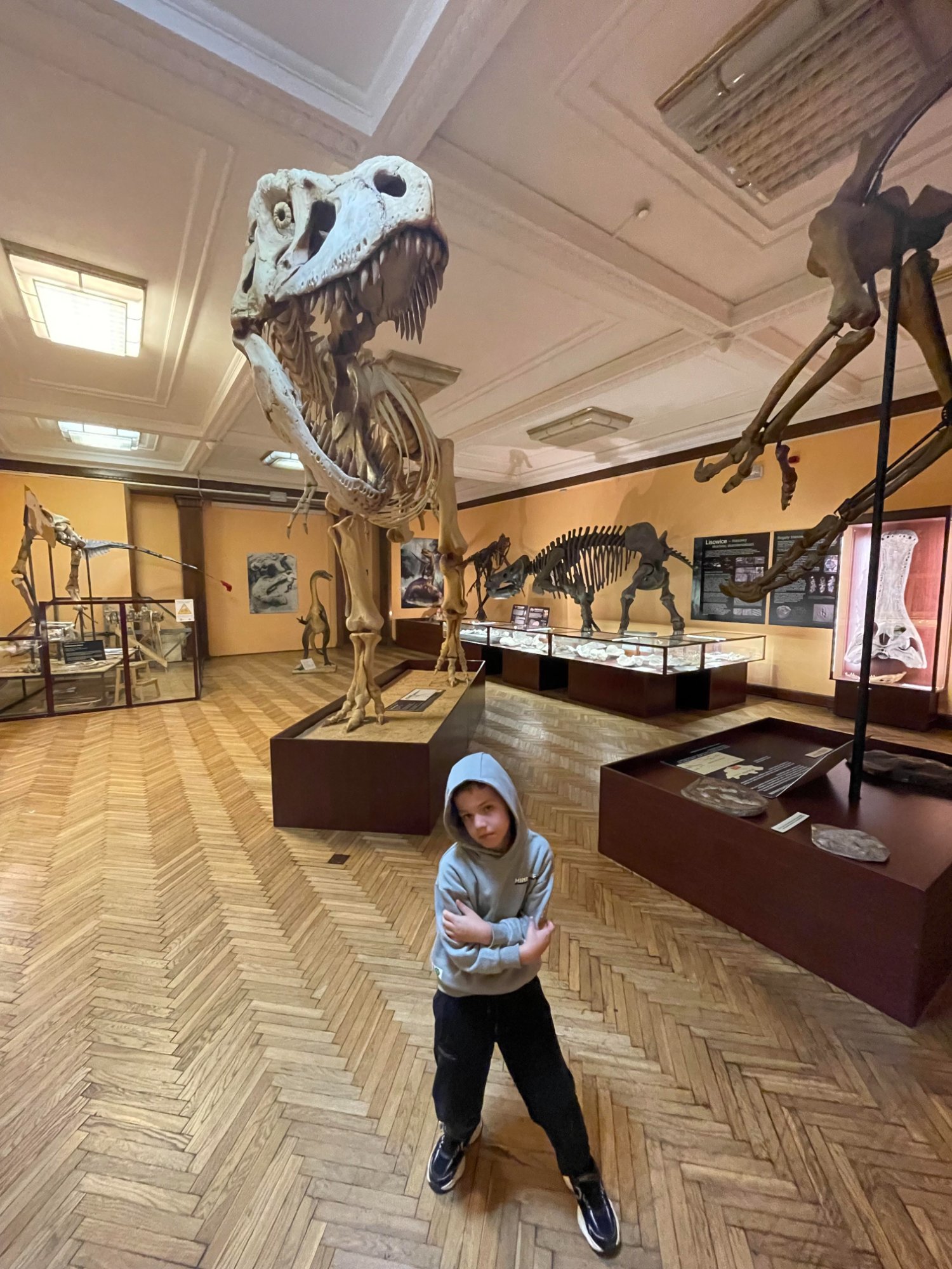 מוזיאון דינוזאורים