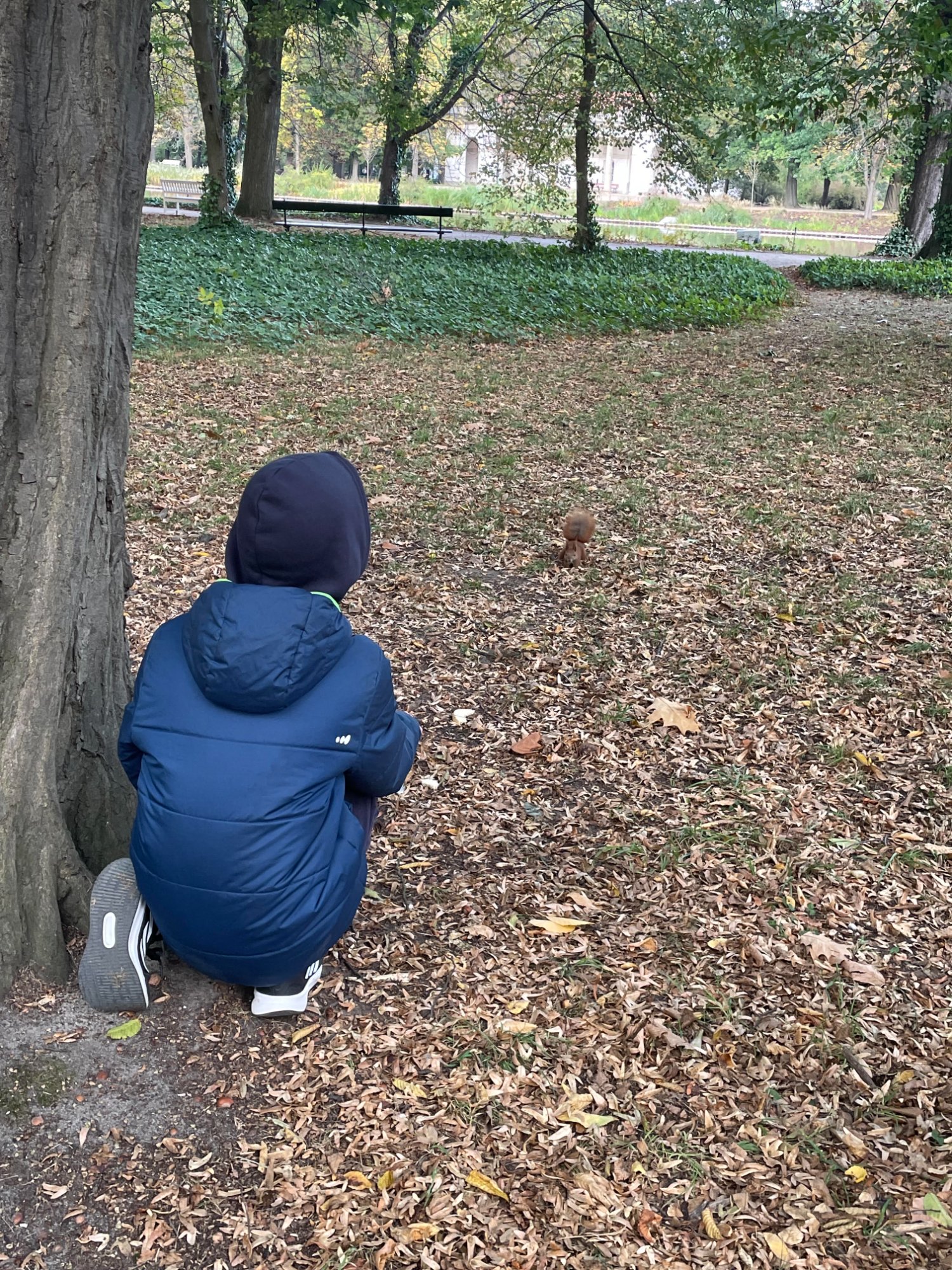 ילד עם סנאי בפארק